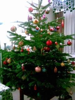 Bild "Weihnachtsbaum.jpg"